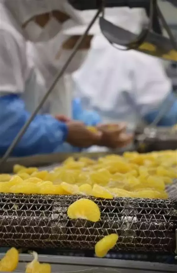 【島原のへぇー】金太洋　きらきらの輝き　ミカン缶詰　長崎・島原市の太洋食品