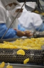 【島原のへぇー】金太洋　きらきらの輝き　ミカン缶詰　長崎・島原市の太洋食品