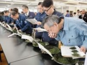 八女茶1キロ1万円超、15年ぶりの高値　福岡で新茶の初入札会　抹茶ブーム背景