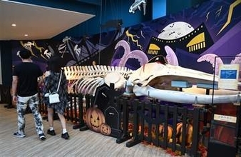 自然散策、ハロウィーン、ビール…　秋の福岡満喫！お出かけイベント紹介