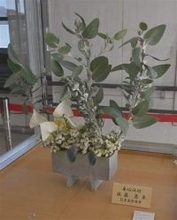 「花のまち」福岡・直方市を知って　駅構内生け花展示やコスモスの種配布