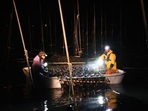 佐賀県沖・有明海で秋芽ノリ初摘み本格化　「「艶も味もいい出来」