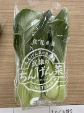 ［佐賀県］「武雄のちんげん菜」　新メニューでPR　おにぎり、漬物、ステーキなど6品　JAで試食会　知名度上げ、生産者増へ