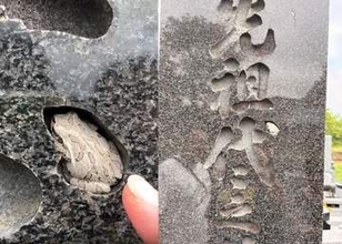 盆のお墓参り ⇒ 墓石をよく見ると……文字の隙間にいた〝まさかの住人〟に「仏さまかしら？」「ぴったりなおうち！」