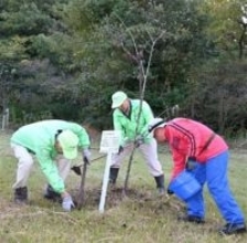 ［佐賀県］朝日山公園の樹木　「四阿屋会」手入れ　鳥栖市の市民団体