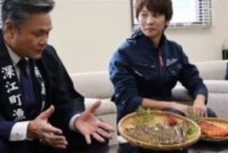 ［長崎県］クルマエビ「出来最高」　南島原・深江町漁協出荷目標15トン