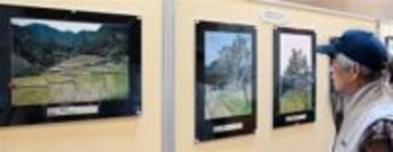福岡・東峰村の「竹棚田」を活写　2月27日までフォトツアー作品展