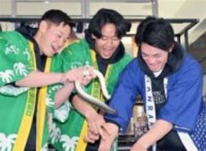 ソフトバンクホークス新人5選手がウナギのつかみ取り