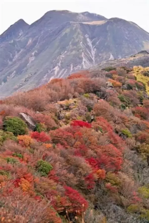 大分・くじゅうが紅葉の装い
