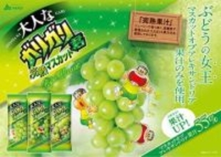 大人なガリガリ君完熟マスカットが復活販売「ストックしておきたい」など喜びの声