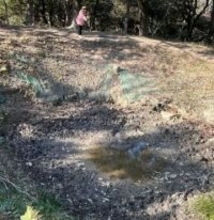 福岡・四王寺山の「枯れない池」が枯渇　伝説の「鏡ケ池」、イノシシの仕業か