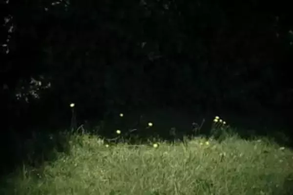 高崎卓馬 連載小説『傷』第20話　3人の巨神と防護服