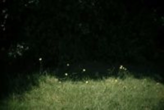 高崎卓馬 連載小説『傷』第20話　3人の巨神と防護服