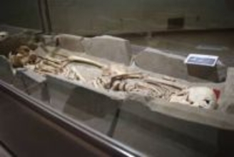 ［長崎県］佐世保の歴史「海」「平和」で　島瀬美術センターで「ピース文化祭」特別展　4万年前から現代まで