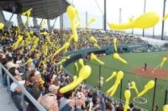 福岡・筑後市のソフトバンクファーム開業10年　年間12万人集客、地域との交流も拡大