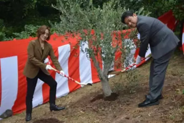 万博のバチカン平和のオリーブ　長崎・平戸市に返還　市長ら植樹