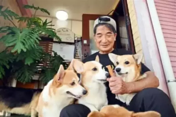 幸せ願うコーギーカフェ　繁殖引退犬新しい活躍の場に　長崎・東彼杵町「DOG　HILL」
