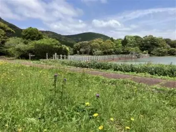 ［長崎県］標高300メートル　新緑まぶしく　佐世保市の白岳自然公園　キャンプの季節、絵画展も