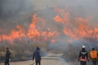 春呼ぶ“炎のショー”　長崎・平戸市の景勝地「川内峠」で野焼き