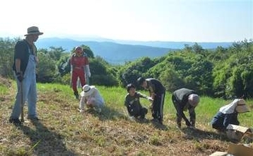 ［長崎県］ヒガンバナ復活させよう　6日、鉢巻山で球根植え　参加募集