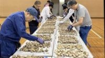 ［長崎県］原木栽培本場対馬で干しシイタケ審査会