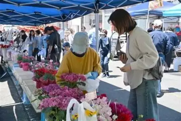 長崎・壱岐で江戸時代から続く「八日市」　島内外から露店80店超