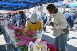 長崎・壱岐で江戸時代から続く「八日市」　島内外から露店80店超