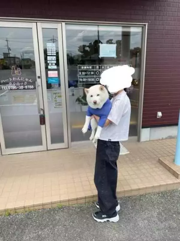 やられたァっーーっ！〝ある場所〟に連れてこられた柴犬　悟った表情に「逃げてぇぇ〜！（笑）」