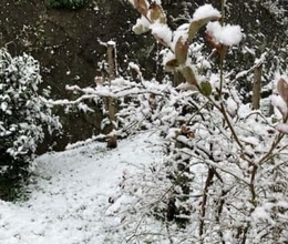 福岡県に大雪注意報　山地を中心に26日未明から朝にかけて大雪となるおそれ　平地でも雪が積もる所も