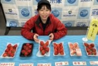 福岡・宗像市で「いちご祭り」　3月15日に開幕、農園などで多彩な催し