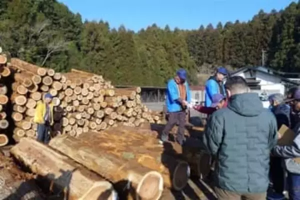 大分・日田中央木材市場で初競り　平均落札価格は前年比85円増