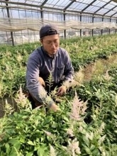 ［長崎県］快活な「風土」が育む花　JAながさき西海アスチュルベ部会【まち彩る　人・店・企業】
