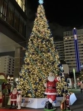 ［福岡県］渡辺通に高さ12メートルクリスマスツリー　九電が企画、1月末まで