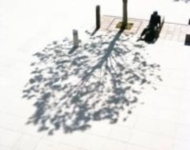 一二九年後へ光を届ける【眼の喜び　齋藤陽道①】