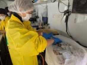 ［大分県］佐賀関大火　被災者に温かい食事提供　キッチンカー持ち込み炊き出し　コープおおいた　支援先発隊