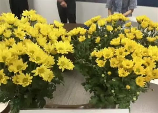 【むつごろう2025回顧③】県と地場産業、次世代育成の行く末は