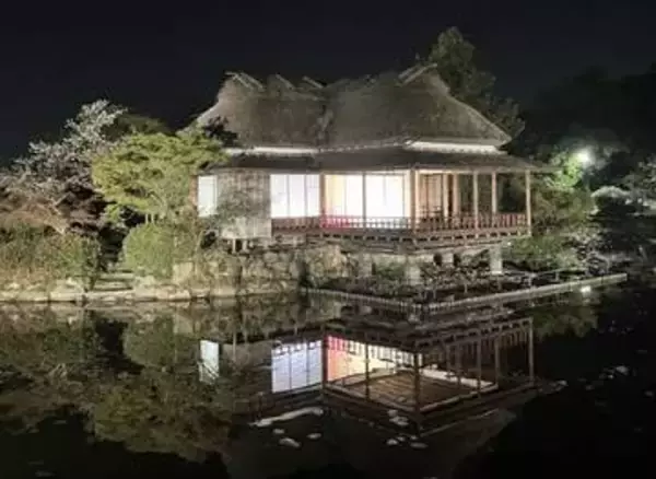 佐賀市・神野公園でライトアップイベント　幻想的な空間に光と雲海演出