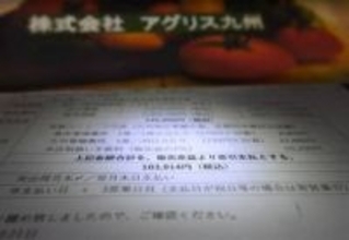 【独自】熊本の会社が野菜販売事業で19億円集金　「月利5％、元本保証」滞り訴訟相次ぐ