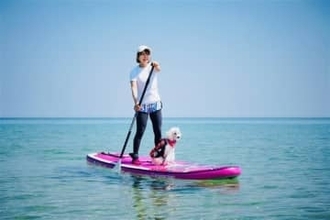 ペットは家族　一緒に楽しむレジャー、おせち…広がるサービス　IT活用見守りも【ペットとともに～新しい家族～】