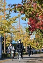 福岡市で街路樹が色づき始め　来週にかけて暖かく