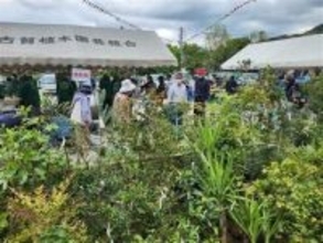 ［長崎県］創立100年を記念　古賀植木まつり　長崎市で5月1日から