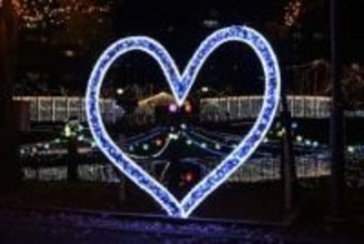 ［佐賀県］イルミ20万個　きょう点灯式　鳥栖市でフェスタ