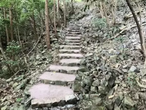 起伏激しく階段も不安定…日峯社の参道を整備　窯元社長が私費100万円提供、佐賀・伊万里市