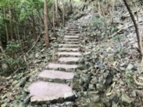 ［佐賀県］伊万里・大川内山　地元の信仰集める社　「日峯社」参道歩きやすく　窯元社長の徳永さん、私費投じ