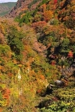 ［大分県］紅葉鮮やか　秋の九酔渓　九重町
