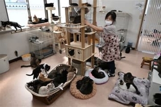 犬猫喜ぶ新保護拠点へクラウドファンディング　北九州・門司の団体「Lien」移転　衛生改善、運営費も抑制