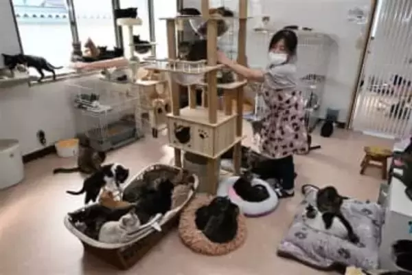 犬猫喜ぶ新保護拠点へクラウドファンディング　北九州・門司の団体「Lien」移転　衛生改善、運営費も抑制