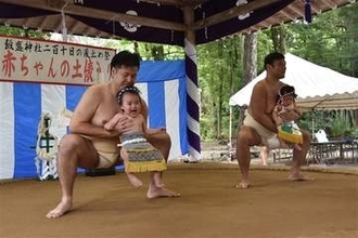 赤ちゃん土俵入り、成長願い泣き笑い　福岡市西区の飯盛神社
