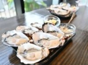 ［福岡県］福岡の冬の味覚楽しんで　市内10店舗「博多×牡蠣＆ブリフェア」