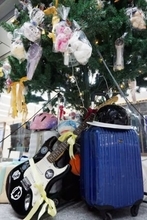 博多駅に「忘れ物ツリー」　ギター、スーツケース…年間で4万5000個